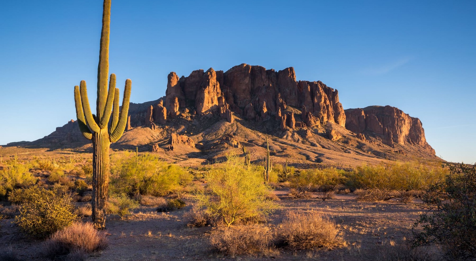 Petfriendly apartments in Goodyear, AZ Prose at Ballpark Village
